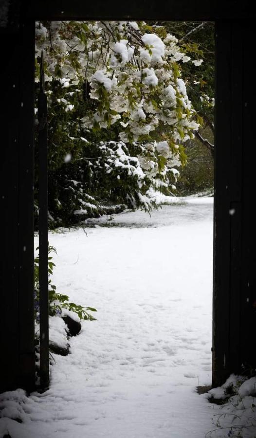 Arden Country House Bnb - Entire House To Yourself -Peace In The Country 더니든 외부 사진