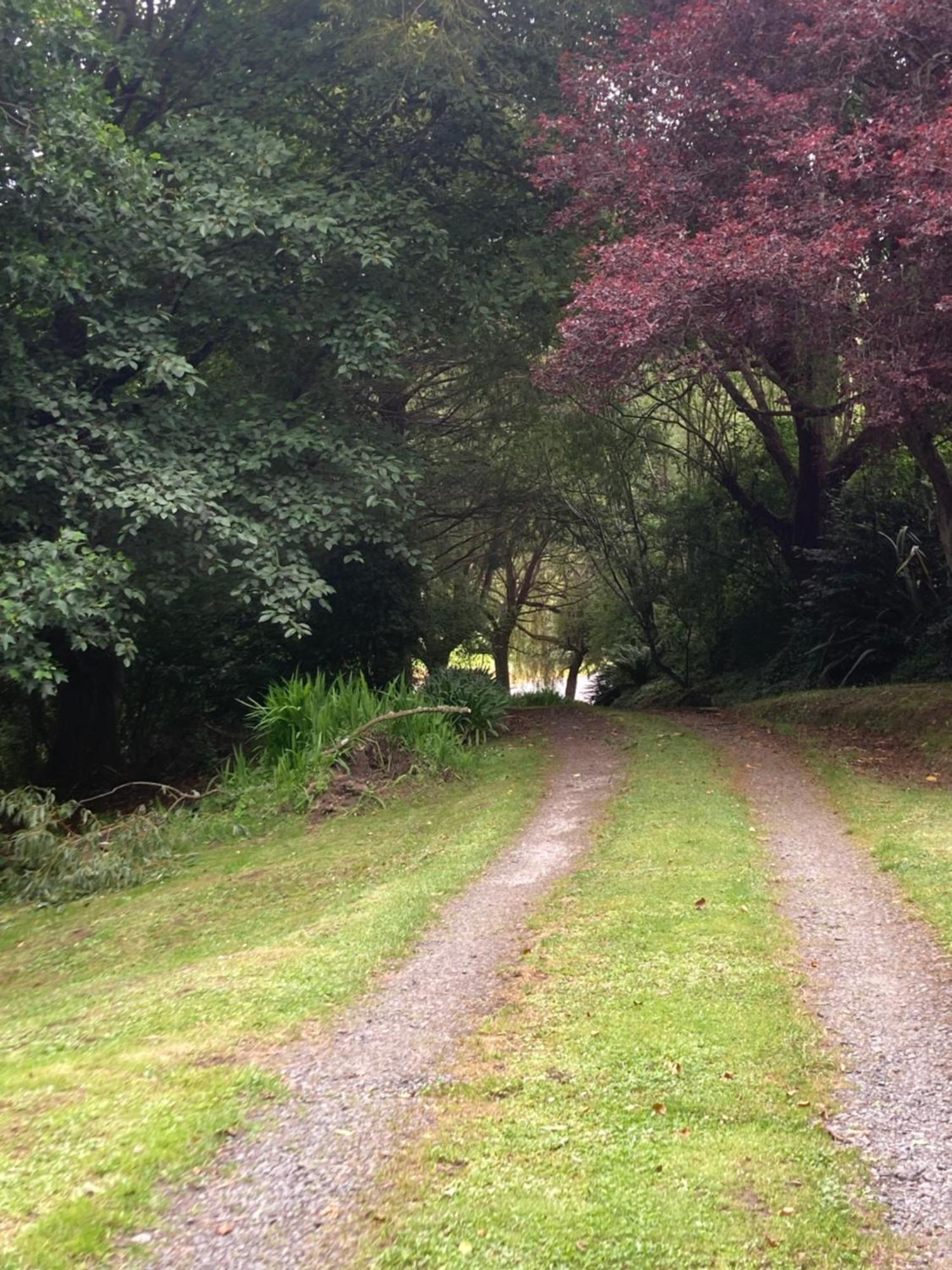 Arden Country House Bnb - Entire House To Yourself -Peace In The Country 더니든 외부 사진